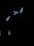 Die Vectrex wurde 1982 von Milton Bradley (MB) als erste und die einzige Heimkonsole mit eigenem, integriertem Vektorgrafik-Bildschirm eingeführt. Das System zeigt monochrome Vektorgrafiken auf einem 9-Zoll-Bildschirm und verwendet austauschbare Module sowie farbige Overlays (Folien), um den Spielen unterschiedliche visuelle Effekte zu verleihen.  Es erzeugt traumhaft schöne Bildschirmzeichnungen! In den kommenden Wochen will ich die Programmierung verstehen lernen und selbst ein bisschen coden.