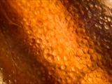 Stechmücken-Larve (Culicidae)  Oberfläche der Cuticula (Mikroaufnahme)
