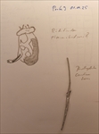 Exkursion zur Untersuchung von marinem Frühjahrsplankton  in der Biologischen Station Helgoland des Alfred-Wegener-Institutes  (Berliner Mikroskopische Gesellschaft) vom 29.03.  04.04.25